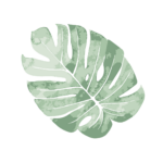 feuille exotique ayurvéda