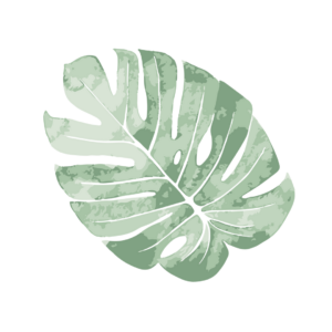 feuille exotique ayurvéda