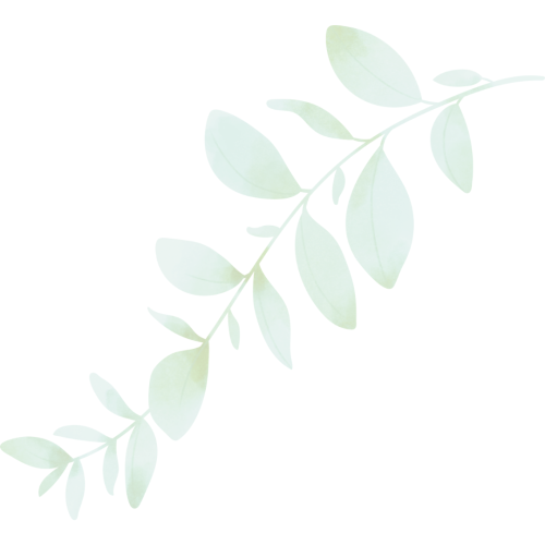 feuille2 feuille2
